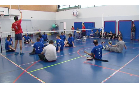 Bienvenue sur le site officiel du Volley Assis en France